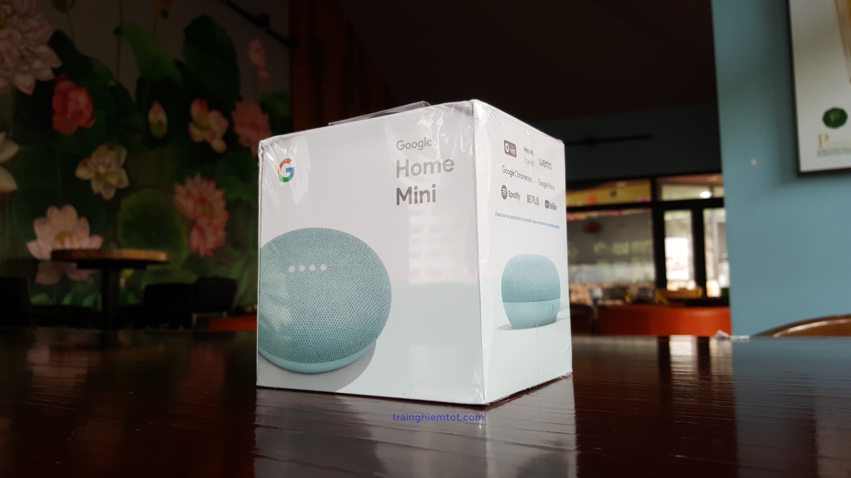 google-home-mini-aqua-cover